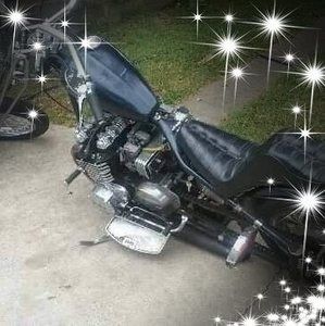 Meet your Posher, Phillip